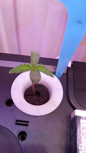 Growreport Bild 4