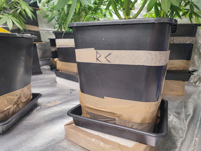 Growreport Bild 109