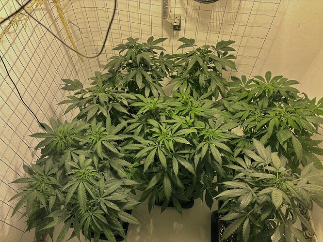 Growreport Bild 12