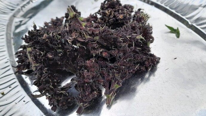 Growreport Bild 11