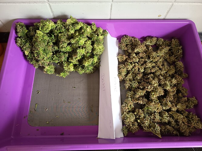 Growreport Bild 4