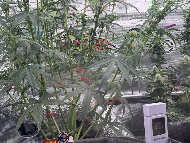 Growreport Bild 12