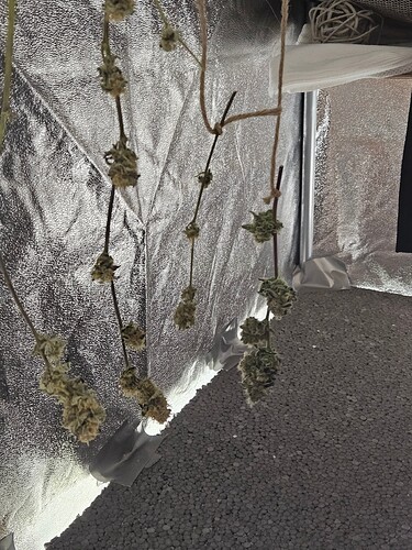 Growreport Bild 14
