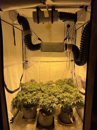Growreport Bild 1