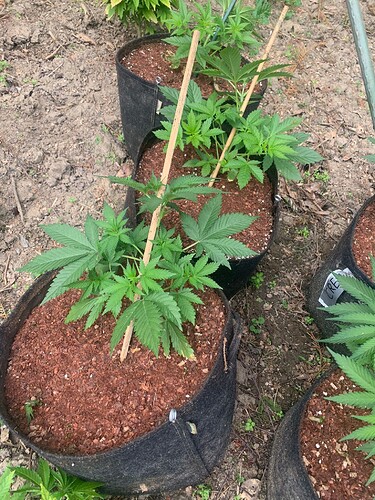 WhatsApp Image 2024-05-14 at 13.57.32 (1)