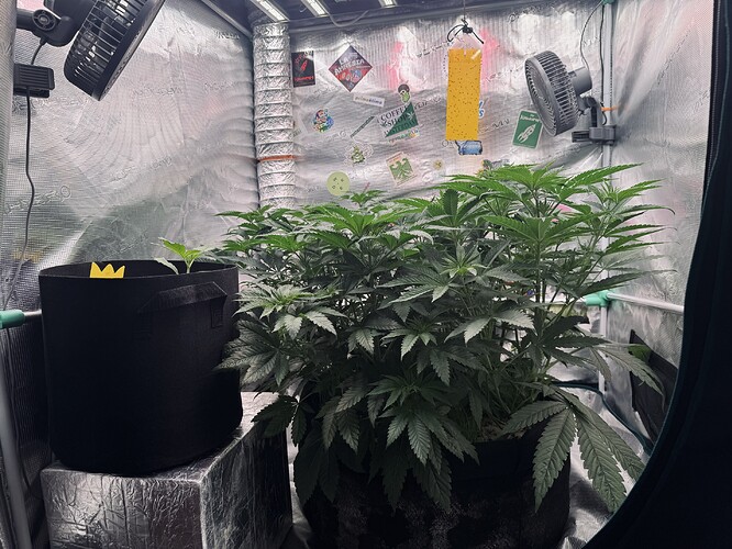 Growreport Bild 2