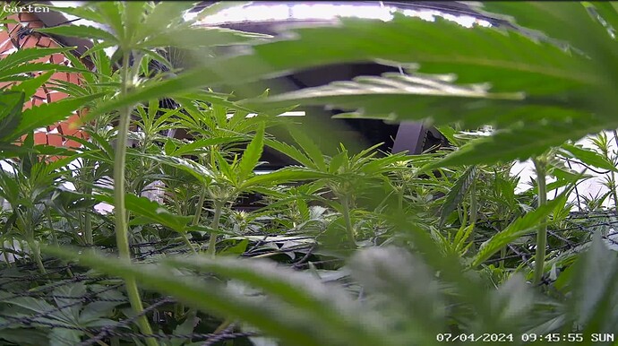 Growreport Bild 1