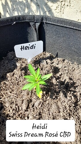 Growreport Bild 8