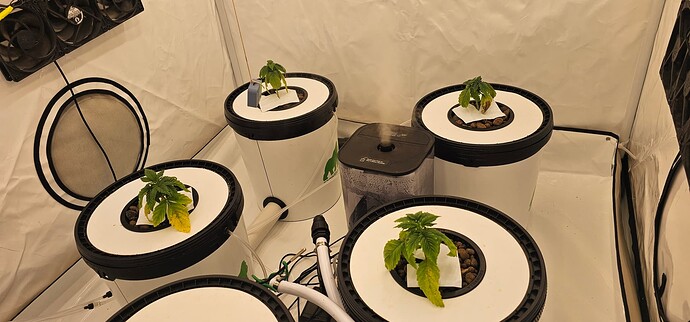 Growreport Bild 9