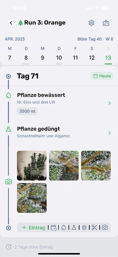 Growreport Bild 1
