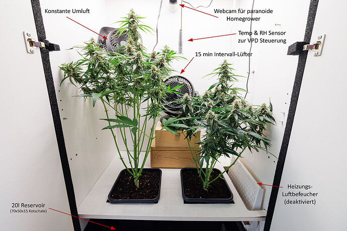 Growreport Bild 3