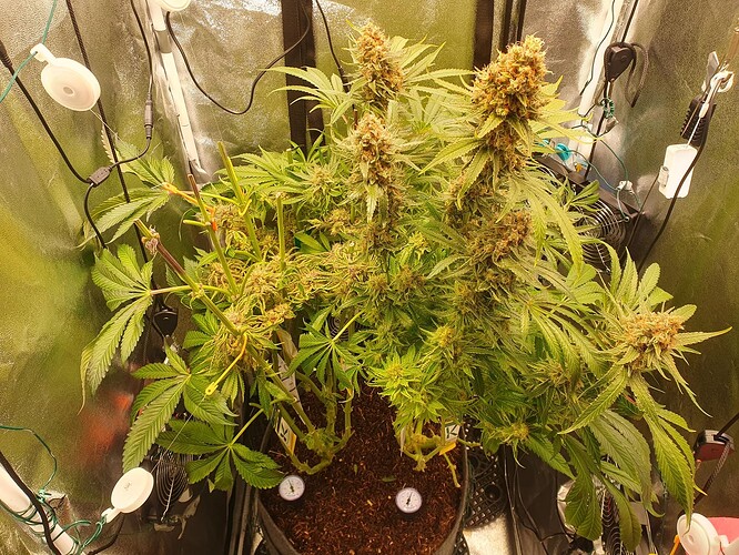 Growreport Bild 12