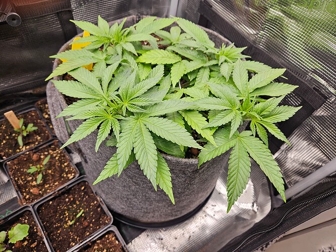 Growreport Bild 12