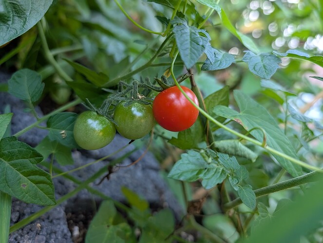 Growreport Bild 21