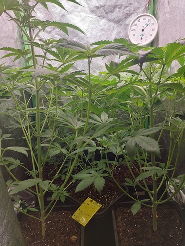 Growreport Bild 11