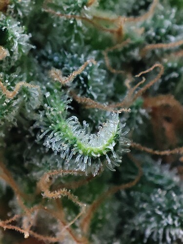 Growreport Bild 25