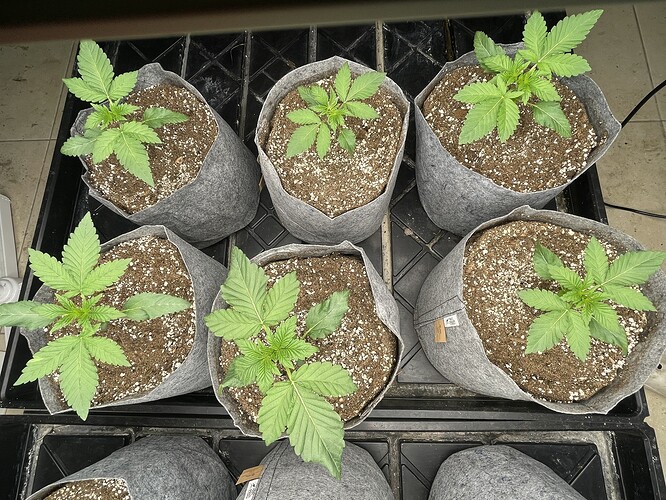 Growreport Bild 10