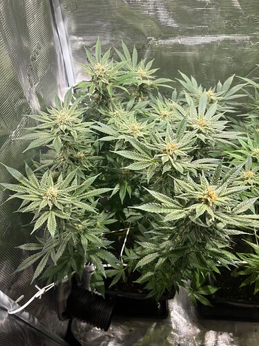 Foto 19.07.25, 05 58 27