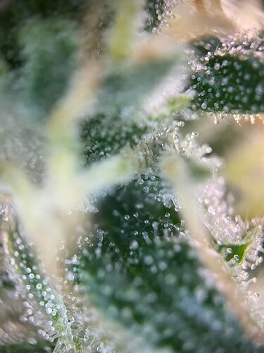 Growreport Bild 14
