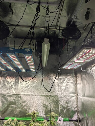 Growreport Bild 2