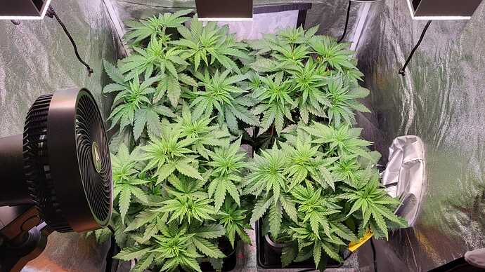 Growreport Bild 7