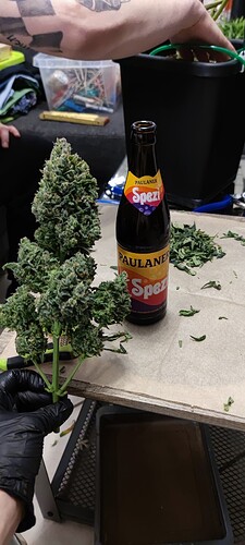 IMG_20250811_212617