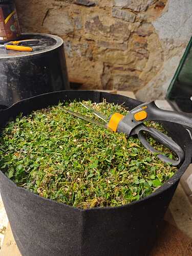 Growreport Bild 31