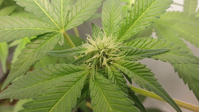Growreport Bild 6
