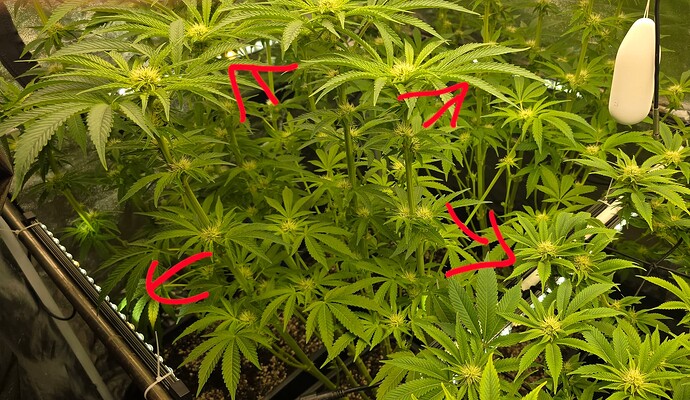 Growreport Bild 10