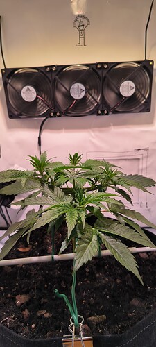 Growreport Bild 10