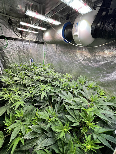Growreport Bild 3