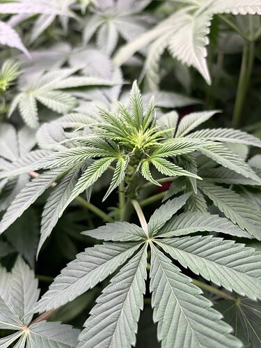 Growreport Bild 16