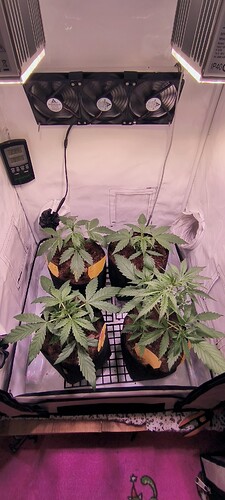 Growreport Bild 2
