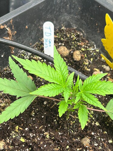 Growreport Bild 25