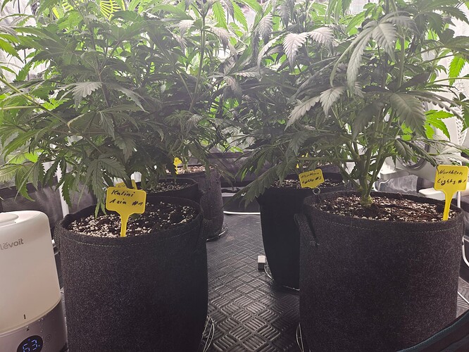 Growreport Bild 16
