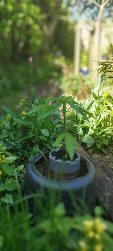 IMG_20250501_105722