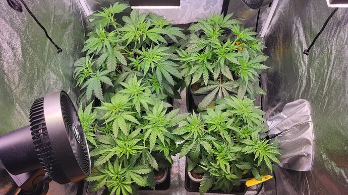 Growreport Bild 4