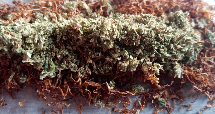Growreport Bild 15