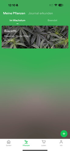 Growreport Bild 9