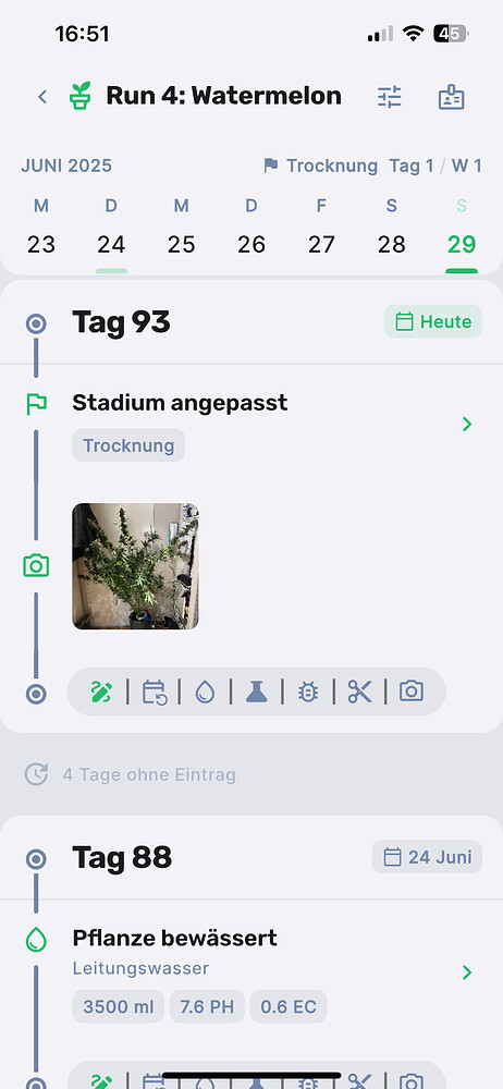 Run 4: Die Aftershow Party: Speed mit Wassermelone