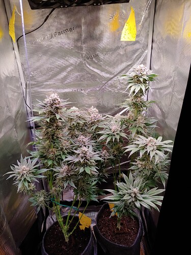 Growreport Bild 15