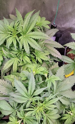 WhatsApp Image 2025-12-16 at 12.53.59 (4)