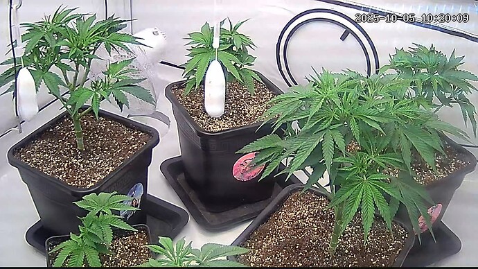 Growreport Bild 15