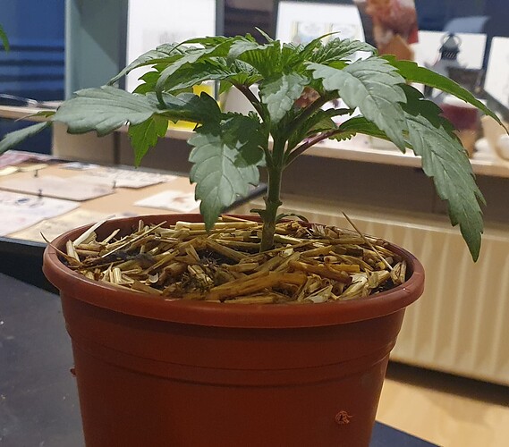 Growreport Bild 13