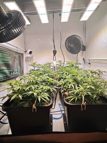 MVIMG_20251019_223234