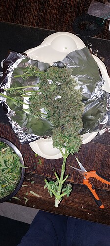 Growreport Bild 11