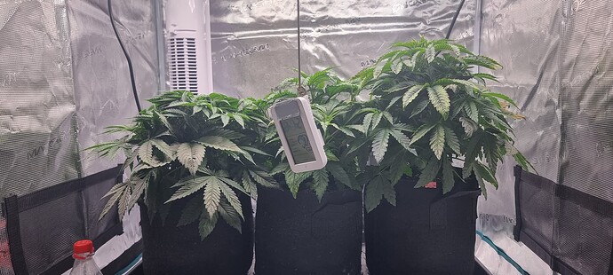 Growreport Bild 17