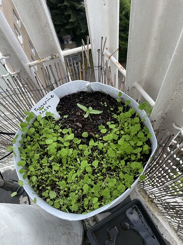 Growreport Bild 14