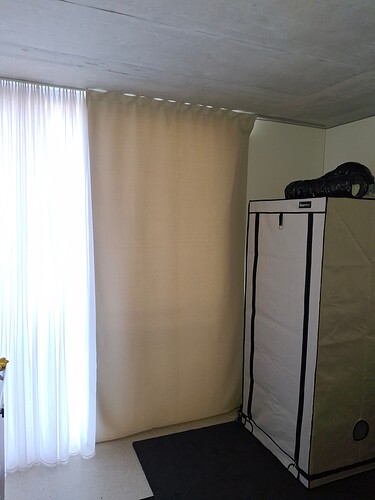 Growreport Bild 2