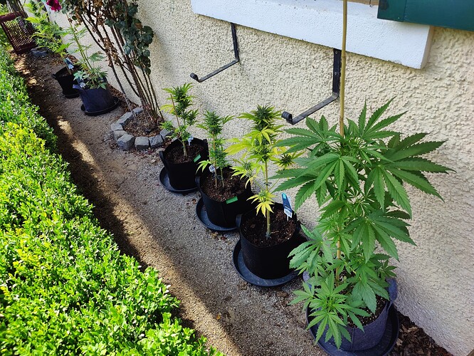 Growreport Bild 1